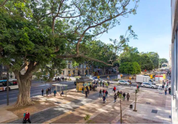 Alameda Principal Larios Centro Wifi * Málaga