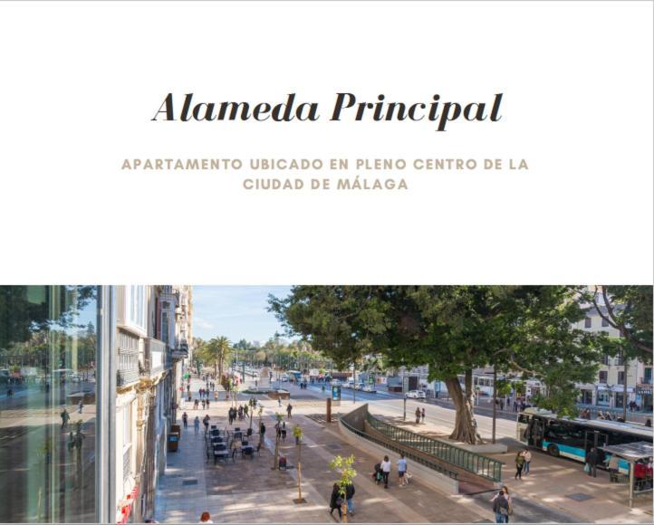 Apartment Alameda Principal Larios Centro Wifi